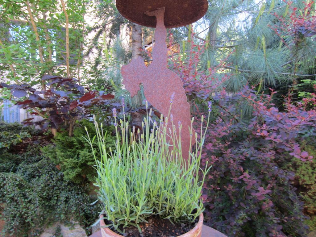 Appartement Romantische 5-sterne- *