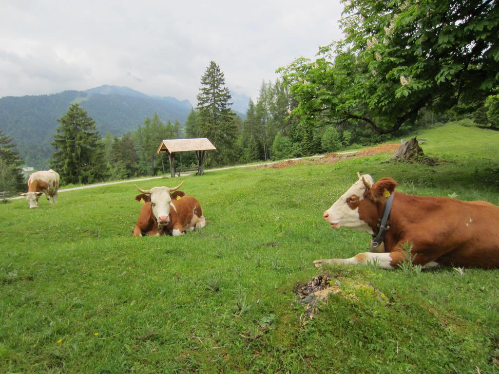 Appartement Romantische 5-sterne- Mittenwald