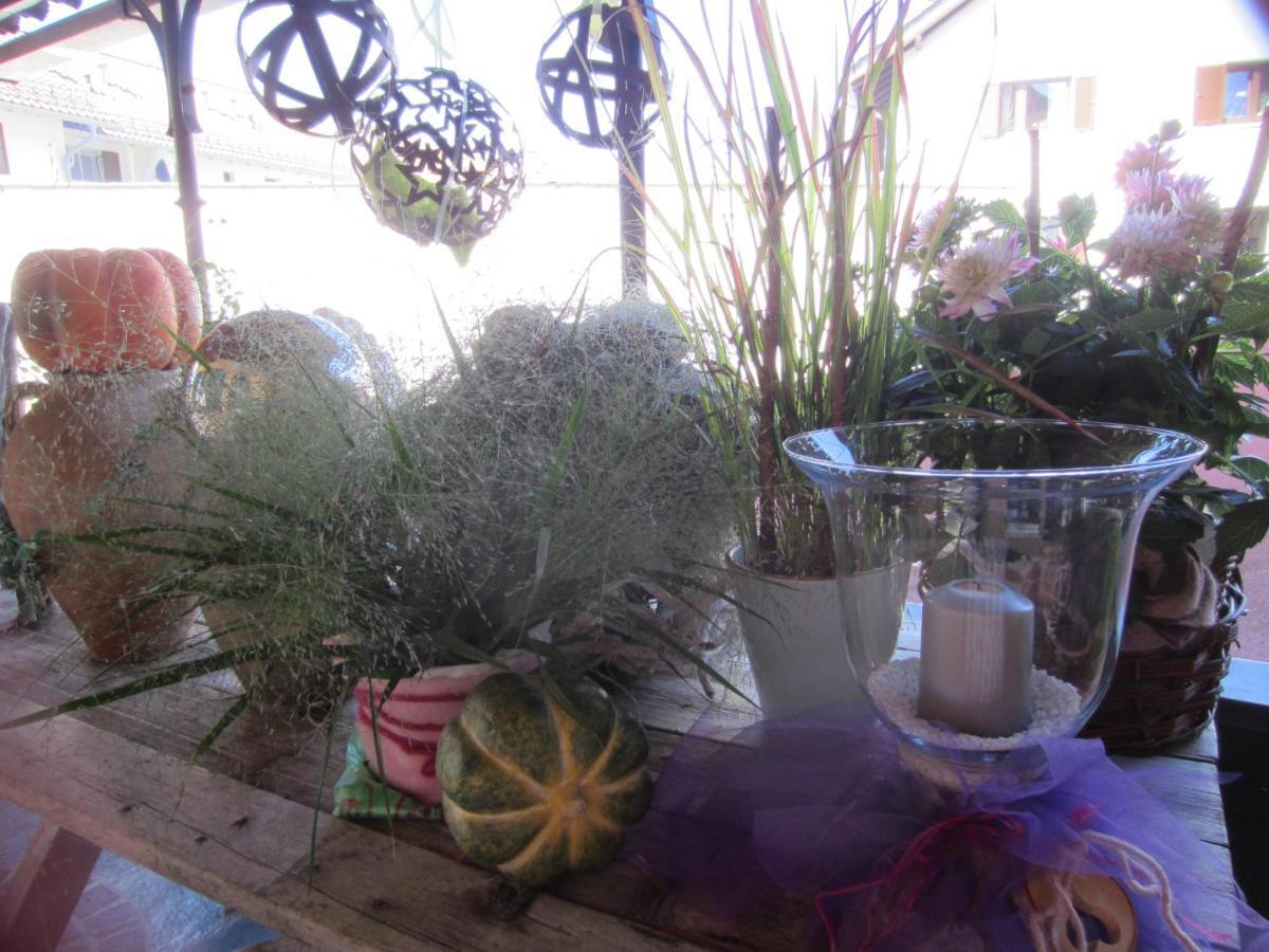 Romantische 5-sterne- * Mittenwald